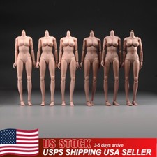 USA 1/6 Female Pale Suntan Large Chest Flexible Body 12inch Action Figure Model picture