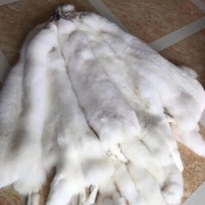1x Genuine White Fox Skin Fur Pelts Soft Dense Real Leather Hides 49-51 Inch picture