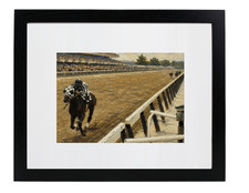 Champion Triple Crown Race Horse Secretariat Painting Art Matted & Framed Photo picture