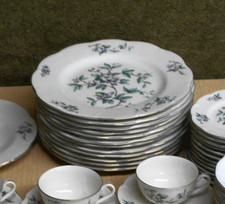 12 Theodore Haviland New York USA Dinner Plates - Brookside - 10.25