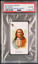 1888 N2 Allen & Ginter American Indian Chiefs (PSA 6 EX/MT) Big Snake picture