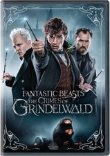Fantastic Beasts: The Crimes of Grindelwald (DVD, 2018) The Disk Only Rdbx F011 picture