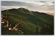 Boy Scouts Postcard Summer Dawn on Baldy Mountain Philmont Ranch Cimarron NM picture