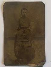 Original Antique Tintype Boy Dog Retriever ? Antique Photo Beach picture