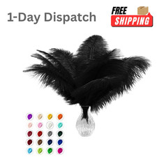 Piokio 20pcs Natural Black Ostrich Feathers 6-8