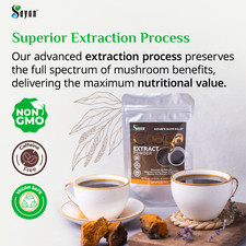 Chaga Mushroom Extract Powder Siberian Natural Freeze Dried Wild Harvested 16oz picture