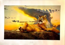 S/N Limited Edition Print 