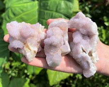 RARE Spirit Quartz Clusters & Points, 'AAA' Grade Cactus Quartz: Choose Size picture