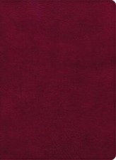 CSB Holy Land Illustrated Bible, Burgundy LeatherTouch, Black Letter - CSB Bible picture