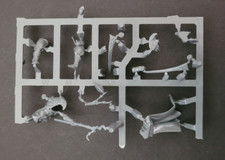 Wizard of the Empire on Imperial Griffon ONLY Rider Old World Warhammer Fantasy picture