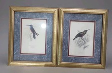 Pair  Authentic 19th-Century Hand-Colored Bird Engravings – The Naturalist’s Lib picture