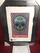 Supreme Art by Fairchild Paris Cert of Authenticity 12/25 Limited Edition. picture