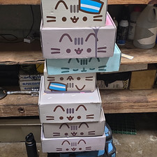 Empty Pusheen Boxes, Various Styles, 7 In Total, You Get All Seven For $10 picture