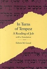 In Turns of Tempest: A Reading of Job, With a Translation picture