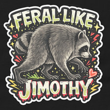 Funny JIMOTHY Shirt Feral Like Jimothy Tee, Seattle Raccoon Shirt picture