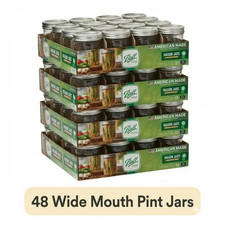 (4 pack) Ball, Glass Mason Jars with Lids & Bands, Wide Mouth, Clear,16 oz,12 CT picture