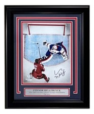 Connor Hellebyuck Signed Framed 8x10 USA Hockey 2026 Olympic Gold Photo Fanatics picture