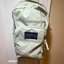JanSport Light Green Solid Polyester Zip Backpack, Padded Bottle Pocket Kids picture