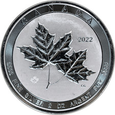 2 oz Silver Canada 2022 Twin Maple .9999 Fine $10 Coin IMPERFECT Scruffy picture