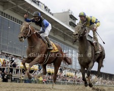 Curlin 2007 Preakness Stakes Remote Photo picture