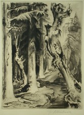 Fritz Silberbauer (1883-1974) - Forest picture
