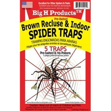 Big H Products ACEBR15001 Brown Recluse & Indoor Spider Traps - pack of 12 picture