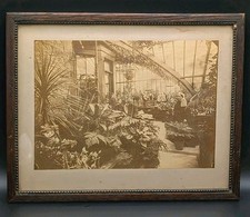 1890s Victorian Estate Conservatory Photo Botanical Carved Wood Frame Antique picture