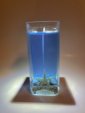Ocean-Themed Gel Candle In Large Glass - Scented & Handcrafted Gift (Blue) picture