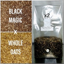 Premium Exotic Dung ALL-IN-ONE XL Mushroom Grow Kit 2 Pack Kit 6lbs Mixed Bag picture