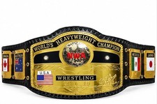 World Heavyweight Championship Wrestling Belt NWA Leather Replica Brass 2MM picture