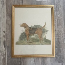 Vintage Hunting Dog Print Gold Frame English Country Equestrian Wall Art 21x17 picture