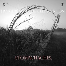 Frank Iero Stomachaches (Vinyl) picture