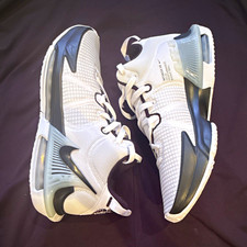 Nike LeBron Witness 7 TB Men’s Low Top Basketball Sneakers White/Black Size 11 picture