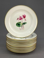 12 Rosenthal Hand-Painted ALPINE FLOWER  7 7/8