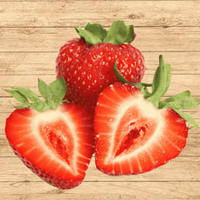 Albion Day-Neutral Strawberry Plants – 10 Bare Root Everbearing | From HPN picture