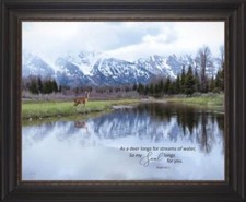 Beechdale Frames Psalm 42:1 Framed Art – My Soul Longs for You – 22x28 picture