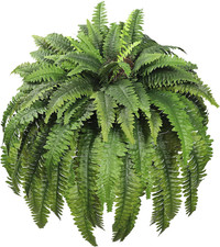 Artificial Ferns for Outdoors 96 Fronds Large Fake Boston Fern UV Resistant Faux picture