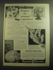 1956 Wayside Gardens Ad - Expect an unusual experience picture