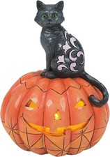 Jim Shore Heartwood Creek Purr-fect Pumpkin Halloween Lit Statue 6014479 NEW T picture