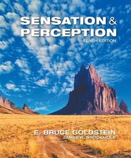 Sensation and Perception, James Brockmole picture