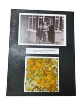 John Lennon Piece Of Carpet Menlove Avenue COA picture