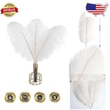Bulk 12pc White Ostrich Feathers 20-22