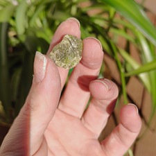 Peridot. Naturally Earth Formed Green Crystal Specimen. picture