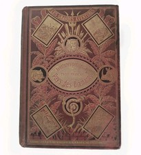 RARE 1886 Louis Boussenard Pays des Diamants French Gilt Cartonnage Illustrated picture