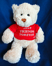 GUND Message Bear Hugs Best Friends Forever Plush Teddy Tan Red Hood T Shirt 12