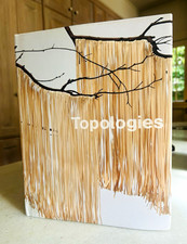 Topologies Exhibition Catalog Mika Yoshitake The Warehouse Dallas Art Book RARE picture