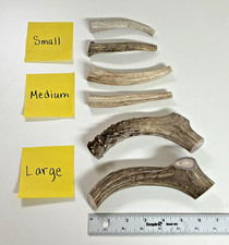 Premium Natural Deer Antler Dog Chews **2 Pack** USA (SMALL, MEDIUM, or LARGE) picture