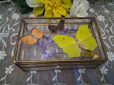 Large Handmade Butterfly Art – Custom Design – Vibrant Colors – Unique Home Dec picture