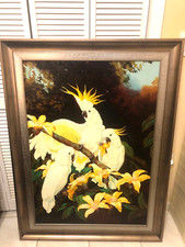framed original oil canvas painting of three white cockatoos  37 in by 49 in picture