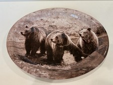 Yellowstone Grizzly Bears Large 18